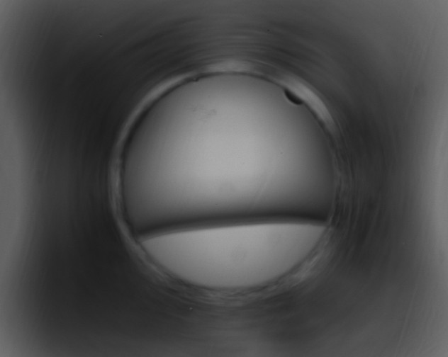 X0000096981000200802080855