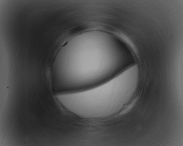 X0000096981001200802080855