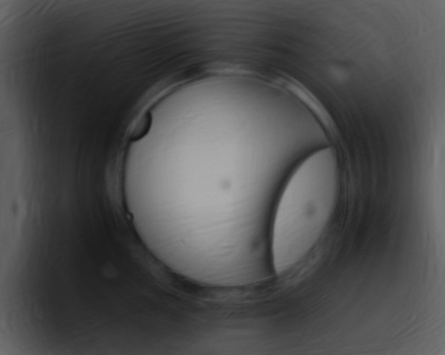 X0000096981002200802080855
