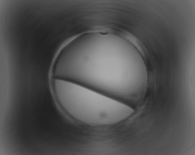 X0000096981003200802080855