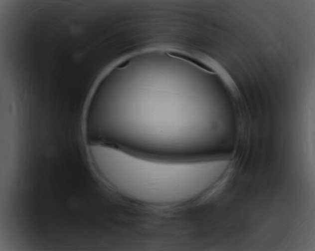 X0000096981004200802080855