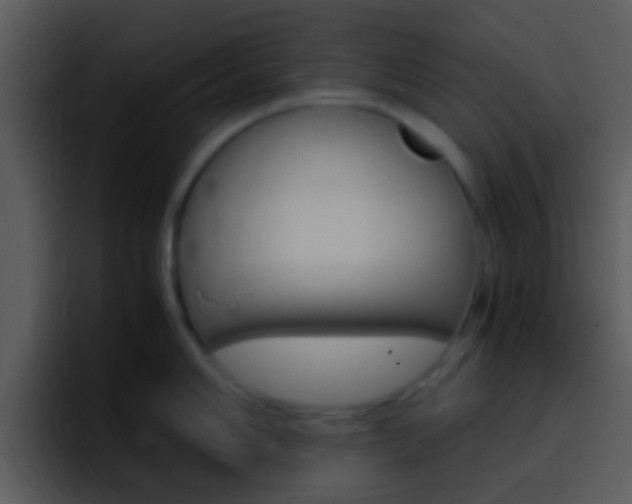 X0000096981006200802080855