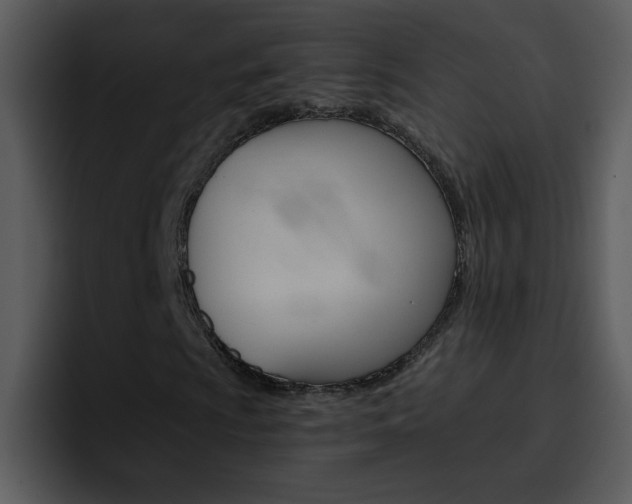 X0000096981009200802080855