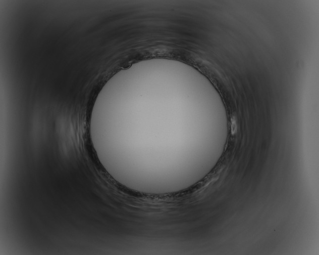 X0000096981011200802080855