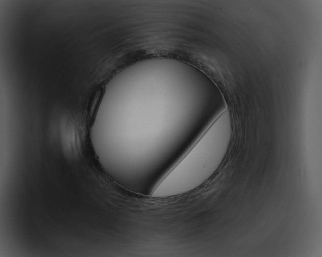 X0000096981012200802080855