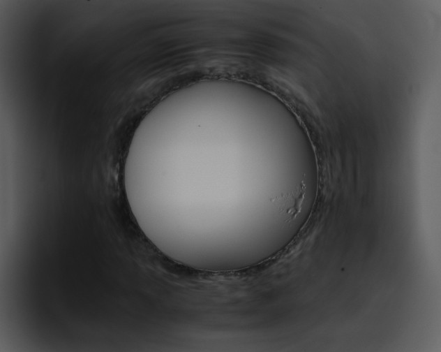 X0000096981013200802080855