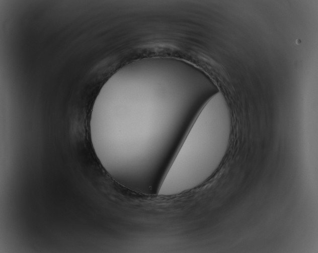 X0000096981014200802080855