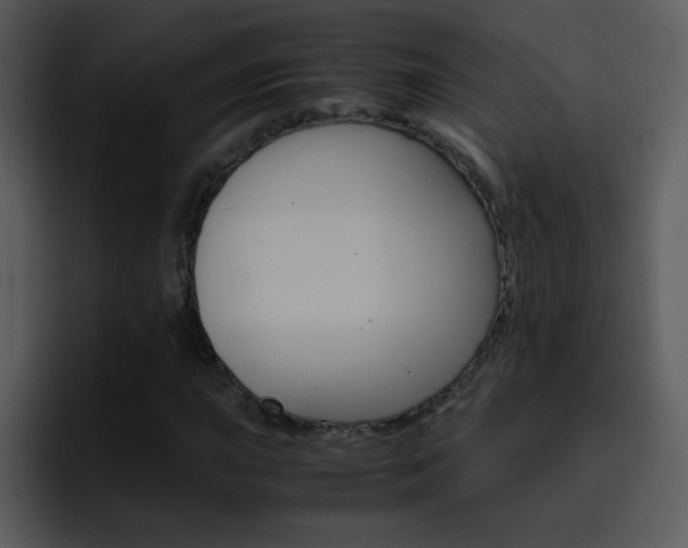 X0000096981015200802080855