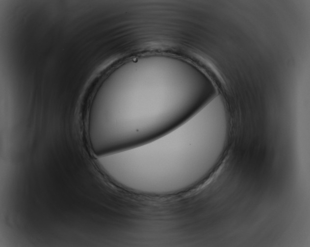 X0000096981018200802080855