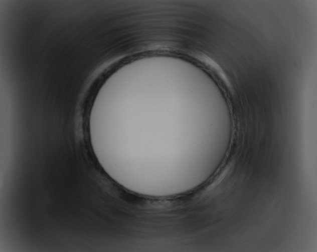 X0000096981019200802080855