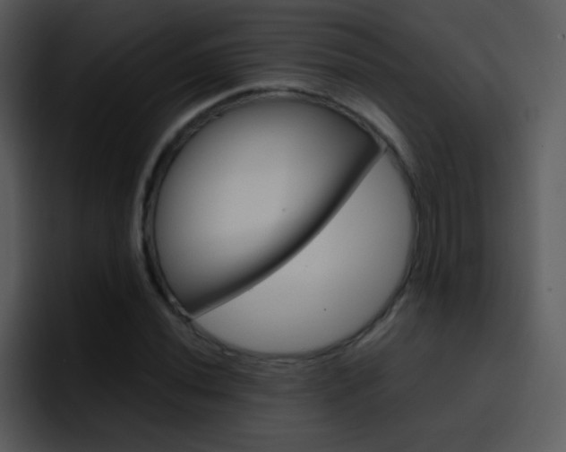 X0000096981020200802080855