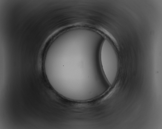 X0000096981021200802080855