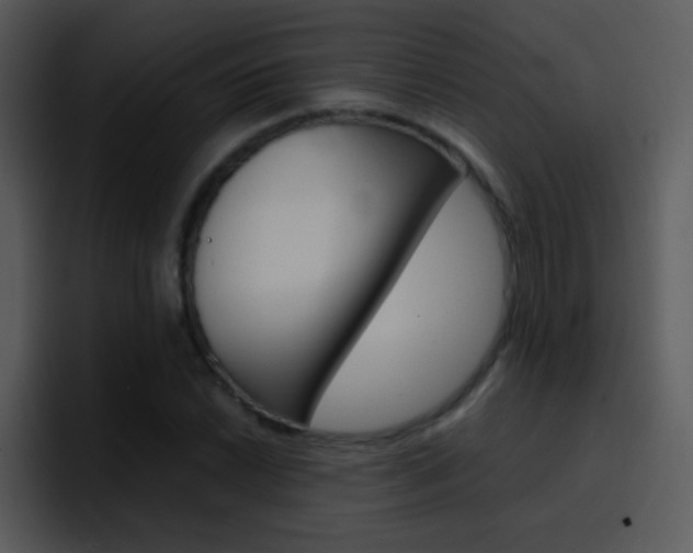 X0000096981022200802080855
