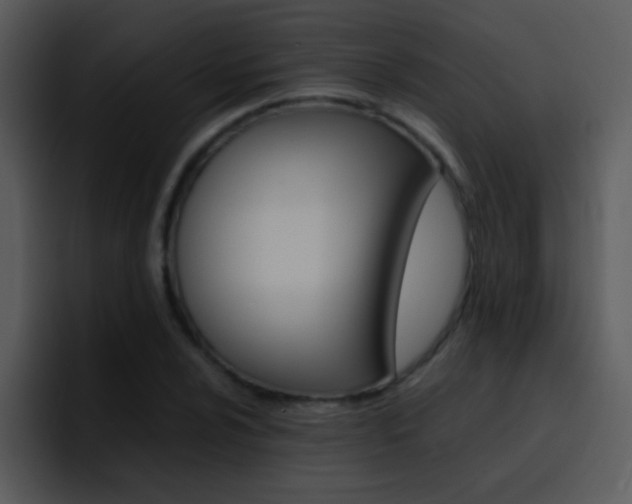 X0000096981024200802080855