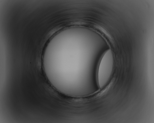 X0000096981025200802080855