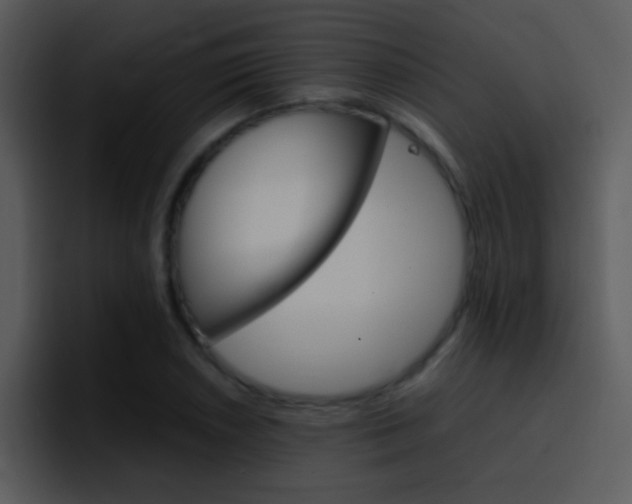 X0000096981026200802080855