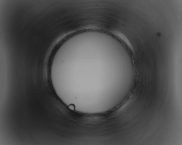 X0000096981027200802080855