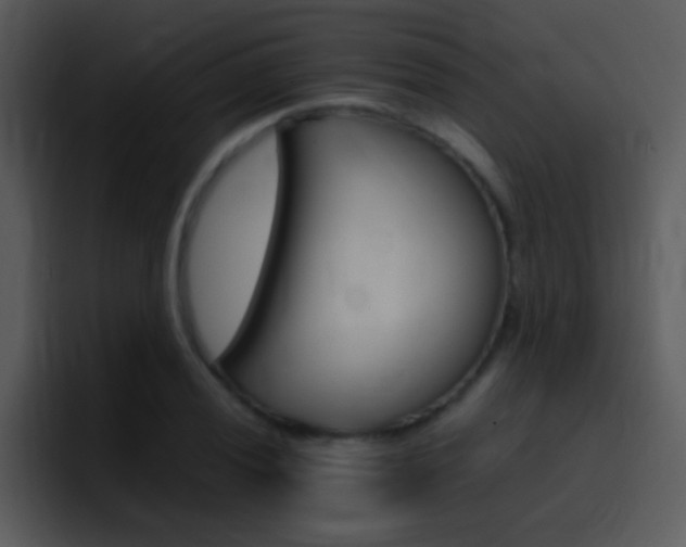 X0000096981028200802080855
