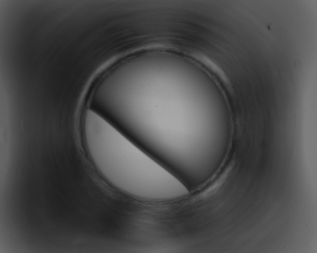 X0000096981029200802080855
