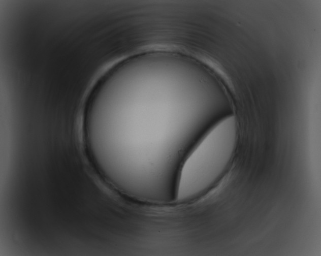 X0000096981030200802080855