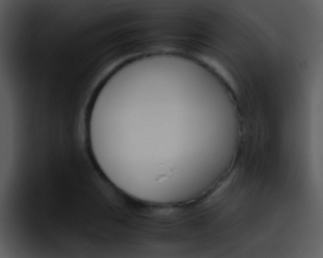 X0000096981031200802080855