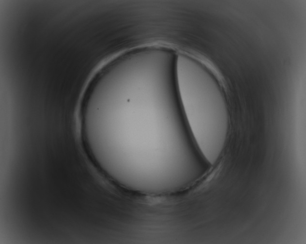 X0000096981032200802080855