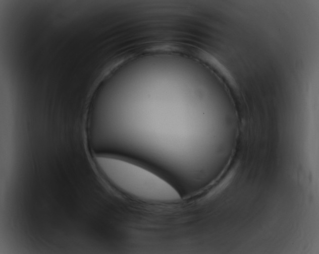 X0000096981033200802080855