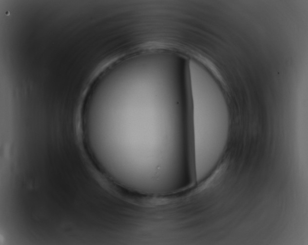 X0000096981034200802080855