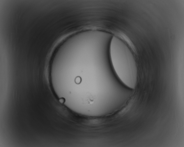 X0000096981035200802080855