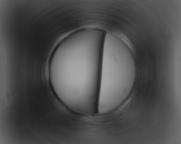 X0000096981036200802080855
