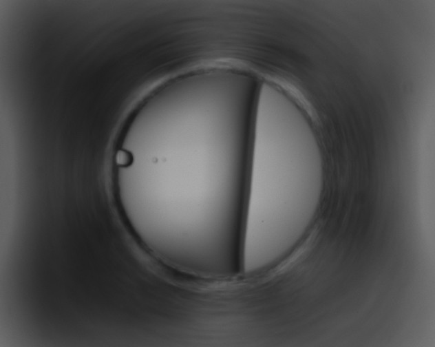 X0000096981038200802080855