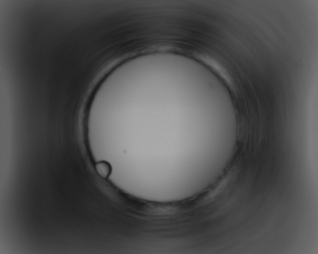 X0000096981039200802080855