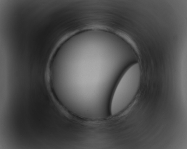 X0000096981040200802080855