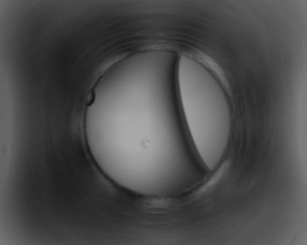 X0000096981041200802080855