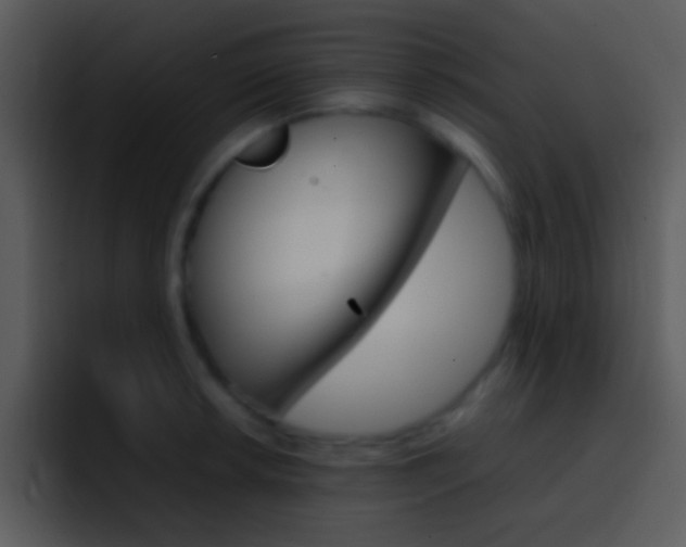 X0000096981042200802080855
