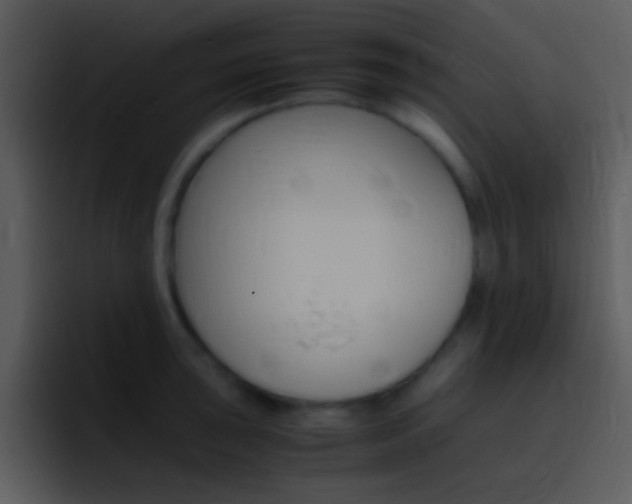 X0000096981043200802080855