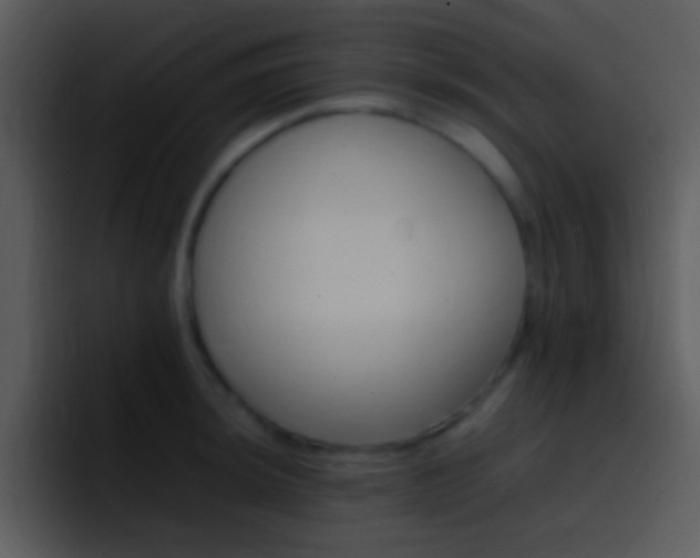 X0000096981044200802080855