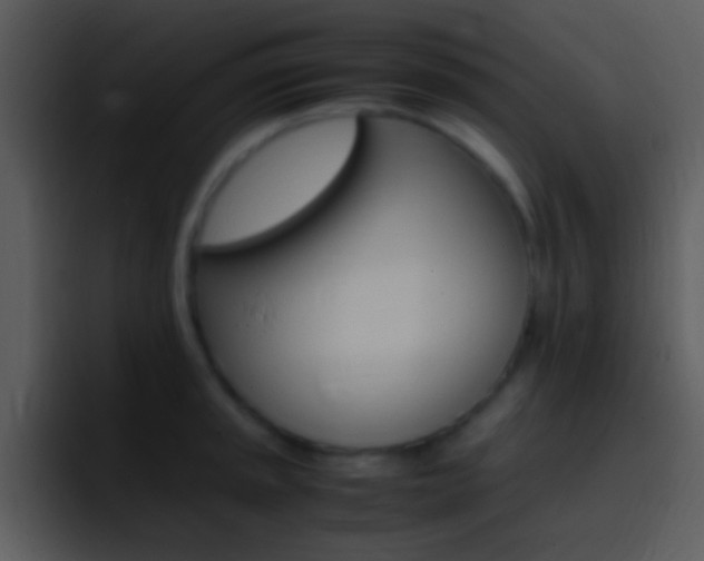 X0000096981045200802080855