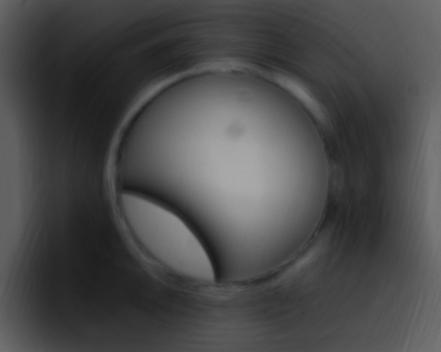 X0000096981046200802080855