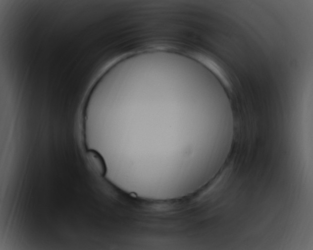 X0000096981047200802080855