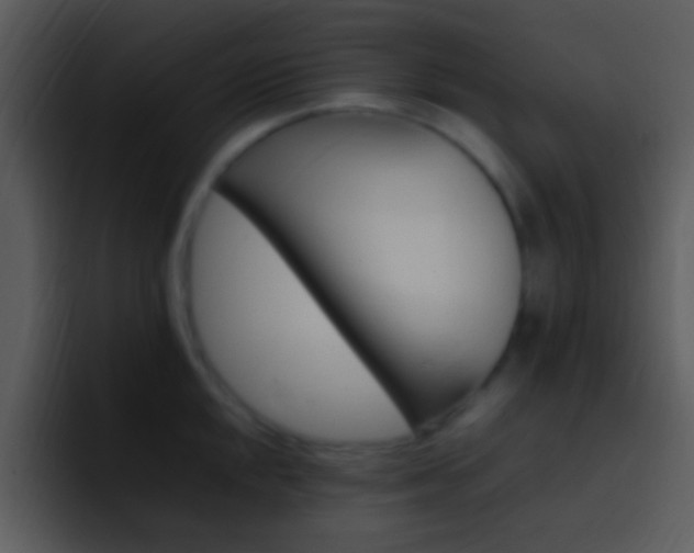 X0000096981048200802080855