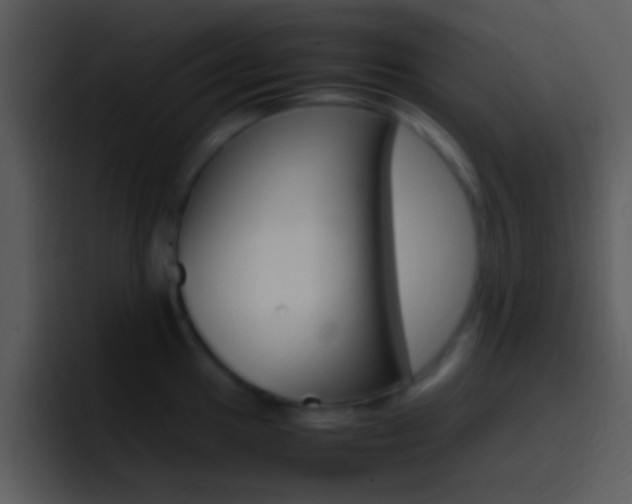 X0000096981049200802080855