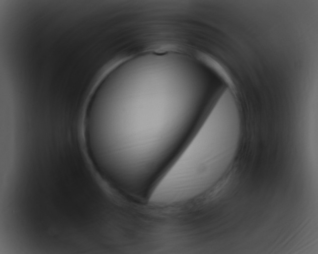 X0000096981050200802080855