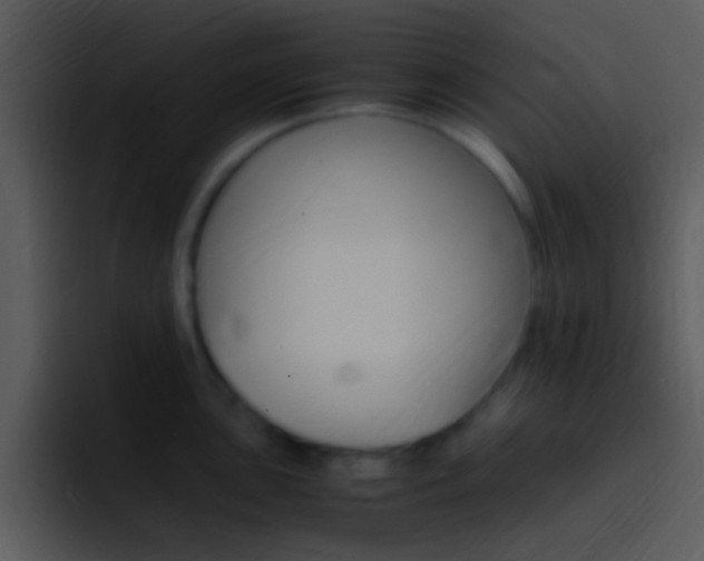 X0000096981051200802080855