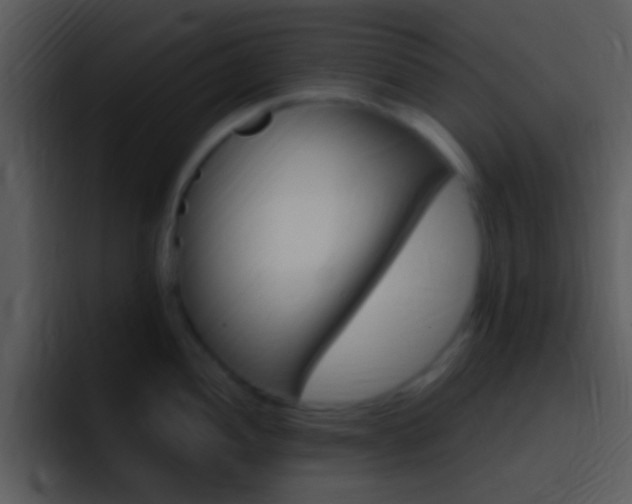 X0000096981052200802080855