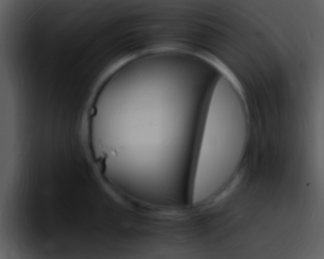 X0000096981053200802080855
