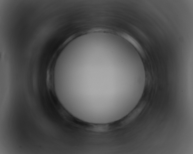 X0000096981055200802080855