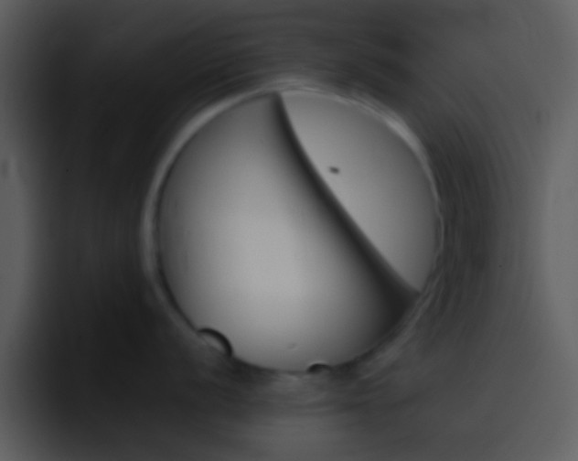 X0000096981056200802080855