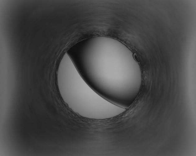 X0000096981057200802080855