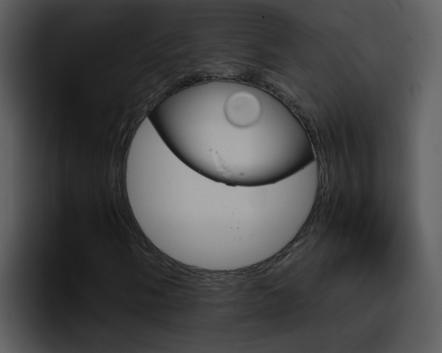 X0000096981058200802080855